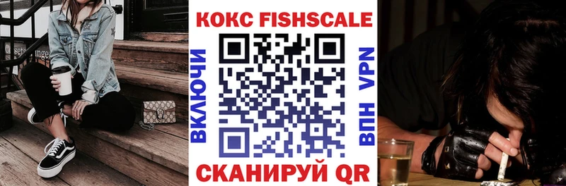 Кокаин Fish Scale  mega вход  Гусиноозёрск  как найти закладки 