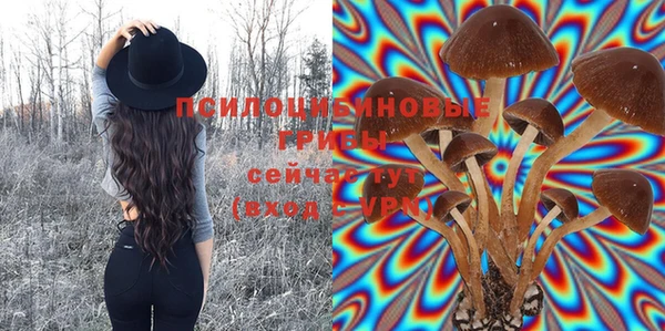 мескалин Горняк