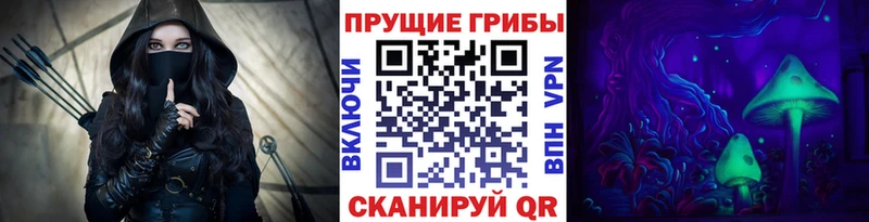 Псилоцибиновые грибы Psilocybe  как найти   Гусиноозёрск 